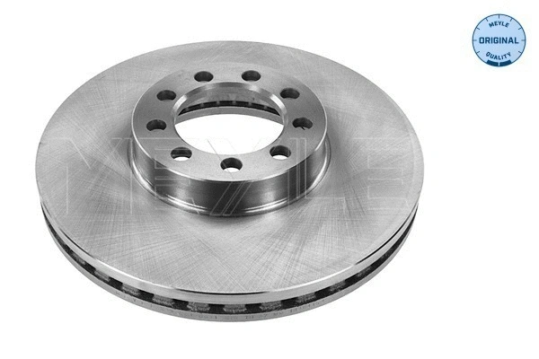 Brake Disc (215 521 0031)