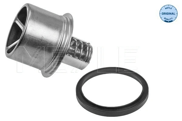 Thermostat, coolant (828 286 0001)