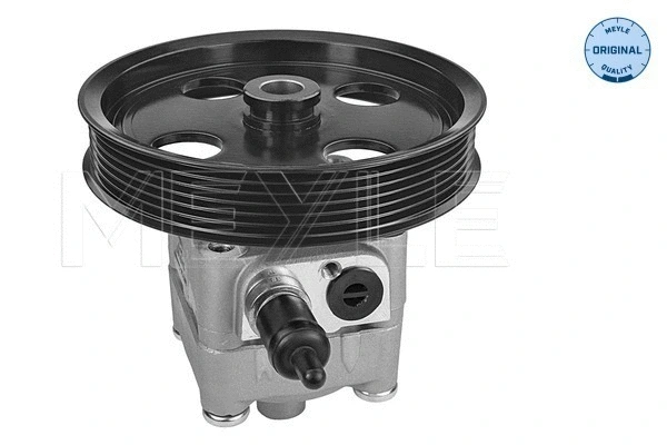 Hydraulic Pump, steering (514 631 0018)