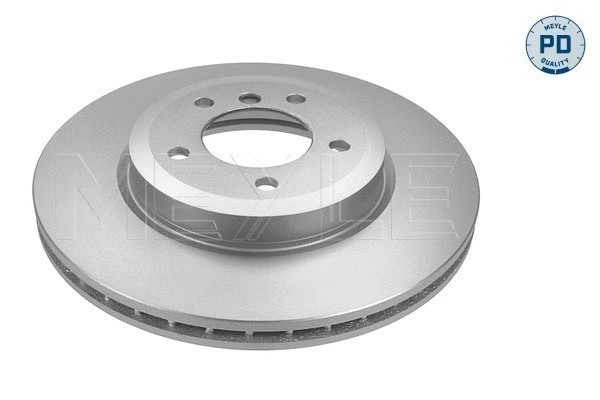 Brake Disc (383 521 3029/PD)