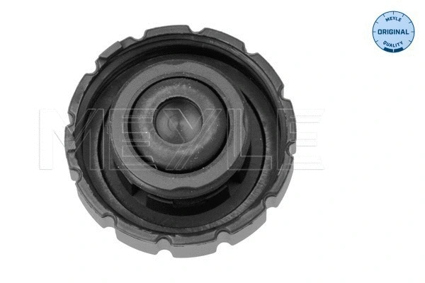 Cap, coolant tank