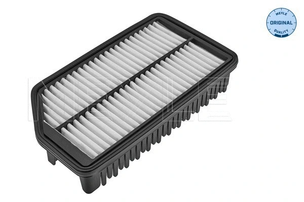 Air Filter (37-12 321 0039)