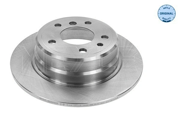 Brake Disc (315 523 3006)