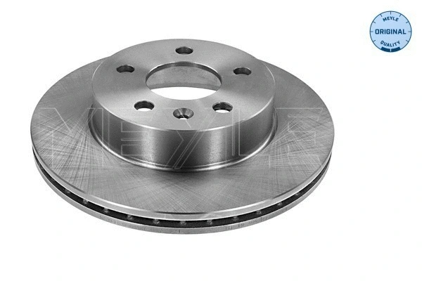 Brake Disc (015 521 2034)