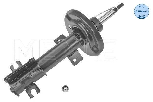 Shock Absorber (226 623 0019)