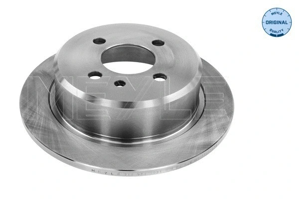 Brake Disc (315 523 3001)