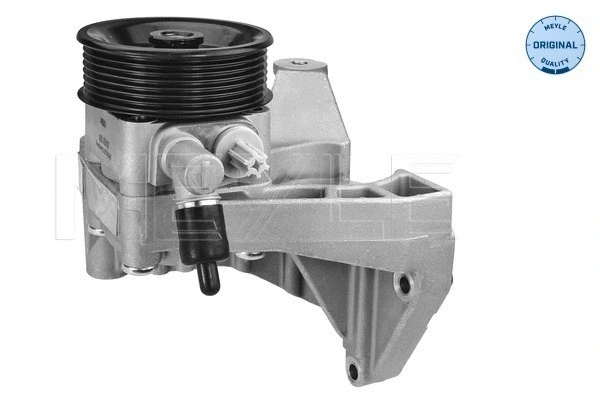 Hydraulic Pump, steering (214 631 0001)