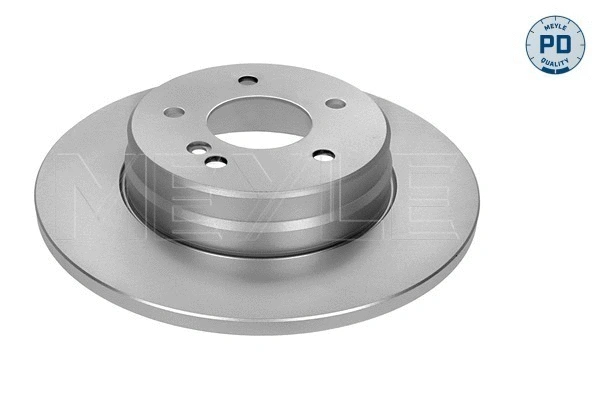 Brake Disc (015 523 0024/PD)