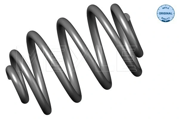 Suspension Spring (614 739 0008)