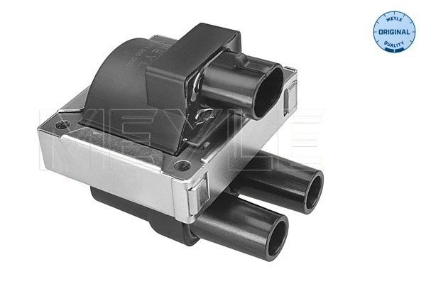Ignition Coil (214 800 0001)