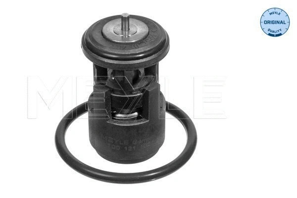 Thermostat, coolant (100 121 1025)