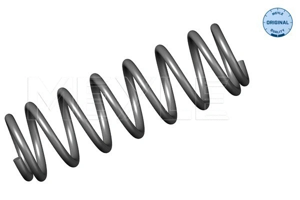 Suspension Spring (100 739 0008)