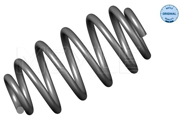 Suspension Spring (614 739 0011)