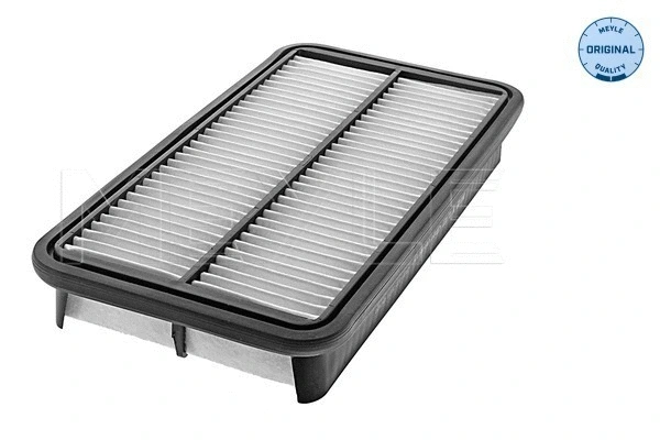 Air Filter (30-12 321 0001)