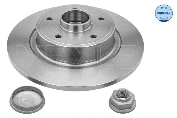 Brake Disc (16-15 523 4117)