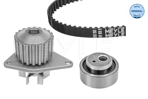 Water Pump & Timing Belt Kit (40-51 049 9002)
