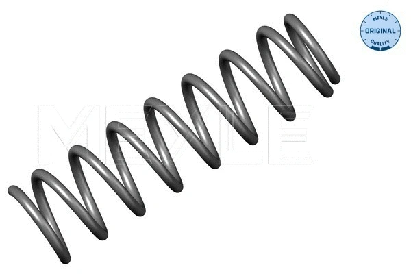 Suspension Spring (014 639 0003)