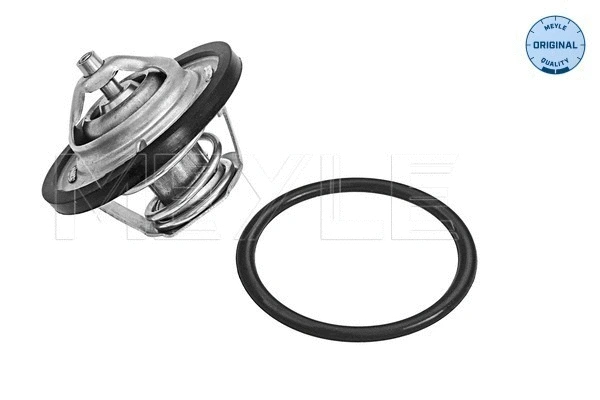 Thermostat, coolant (628 279 0008)