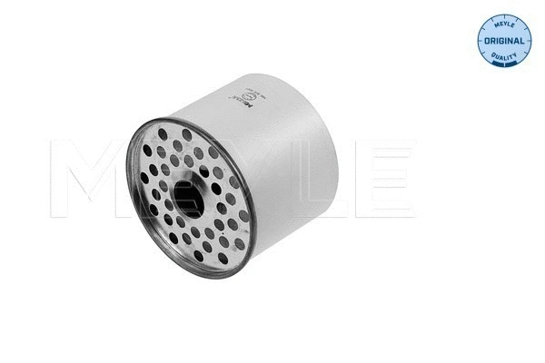 Fuel Filter (100 323 0007)