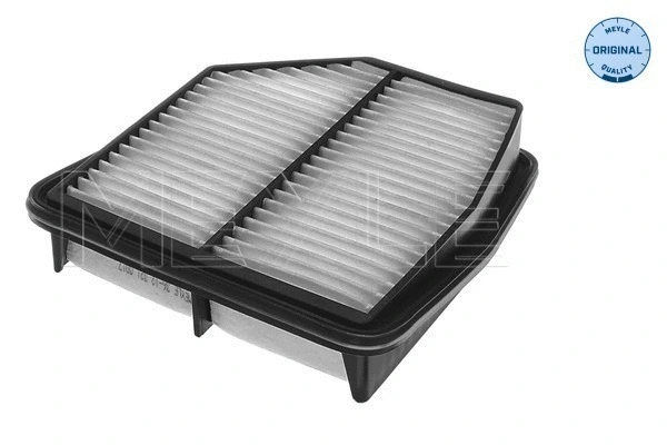 Air Filter (36-12 321 0017)