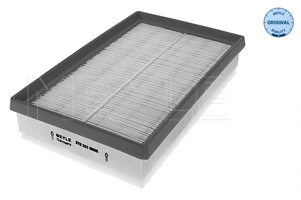 Air Filter (212 321 0008)