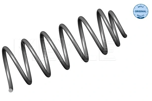 Suspension Spring (100 639 0025)