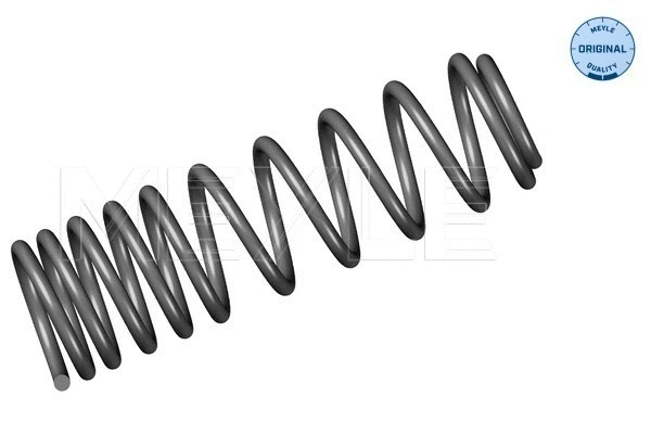 Suspension Spring (100 739 0010)