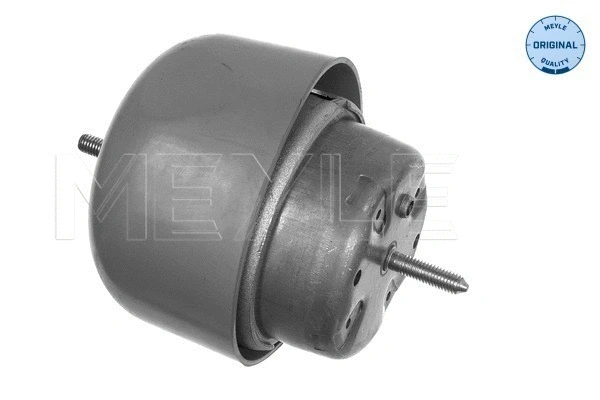 Mounting, engine (100 199 0048)