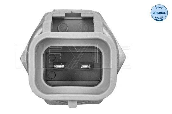 Sensor, intake air temperature