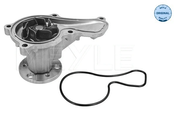 Water Pump, engine cooling (31-13 220 0011)