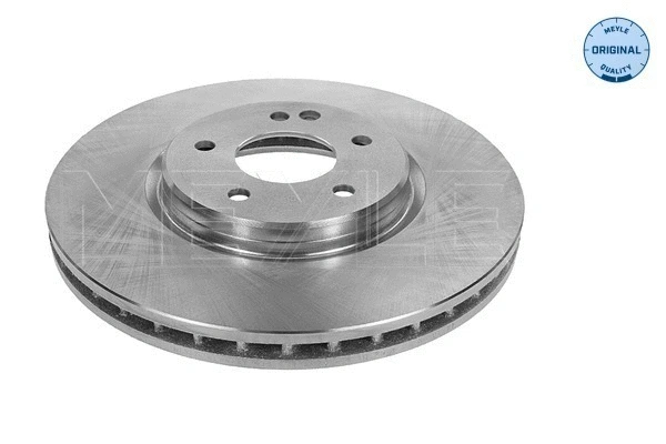 Brake Disc (015 521 0036)