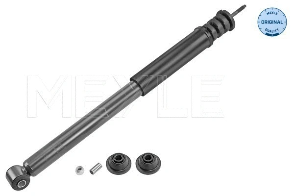 Shock Absorber (36-26 725 0001)