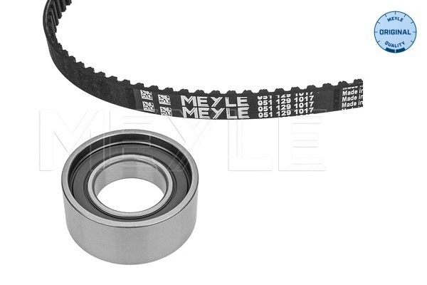 Timing Belt Kit (251 049 0005)