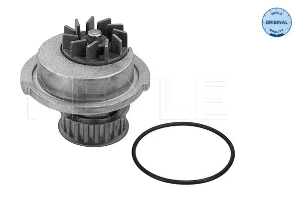 Water Pump, engine cooling (29-13 350 0001)