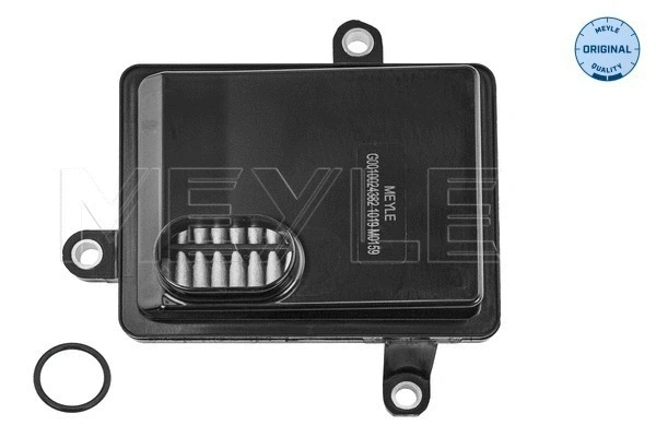 Hydraulic Filter, automatic transmission (100 136 0021)