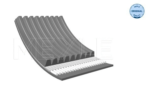 V-Ribbed Belt (050 009 1885)