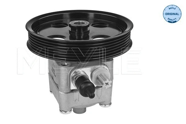 Hydraulic Pump, steering (514 631 0014)