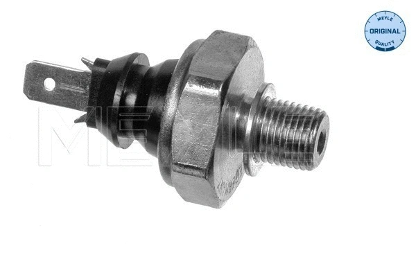 Oil Pressure Switch (100 919 0014)