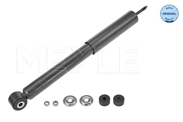 Shock Absorber (33-26 725 0001)