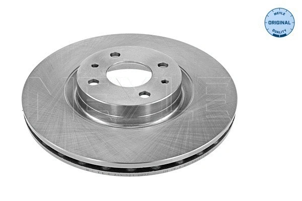 Brake Disc (215 521 2007)