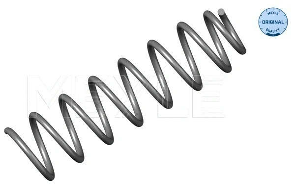 Suspension Spring (100 739 0004)
