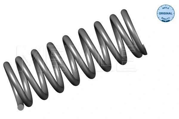 Suspension Spring (014 032 0470)