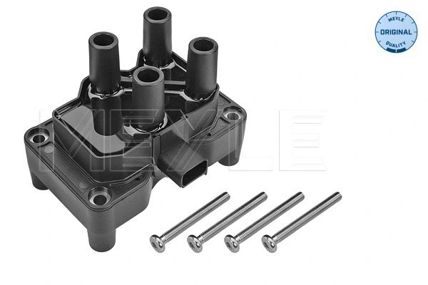 Ignition Coil (714 885 0001)