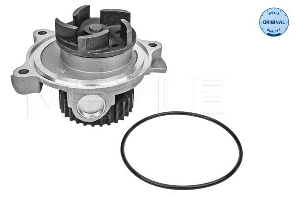 Water Pump, engine cooling (113 012 0022)