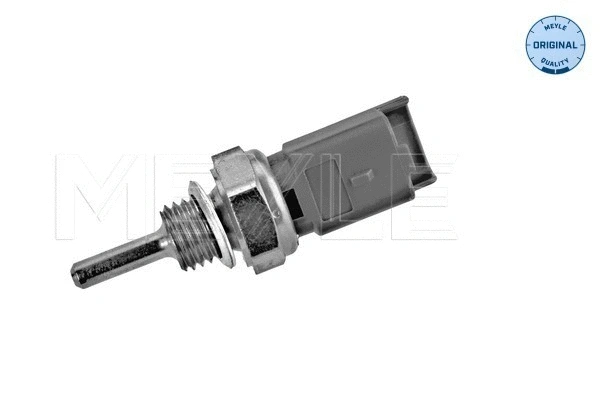 Sensor, coolant temperature (614 810 0001)