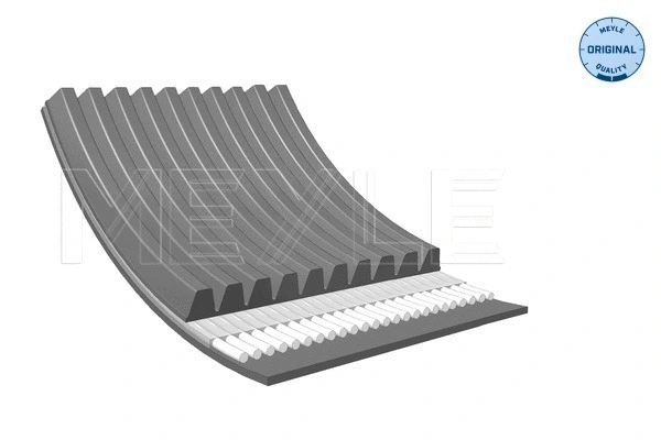 V-Ribbed Belt (050 010 1570)