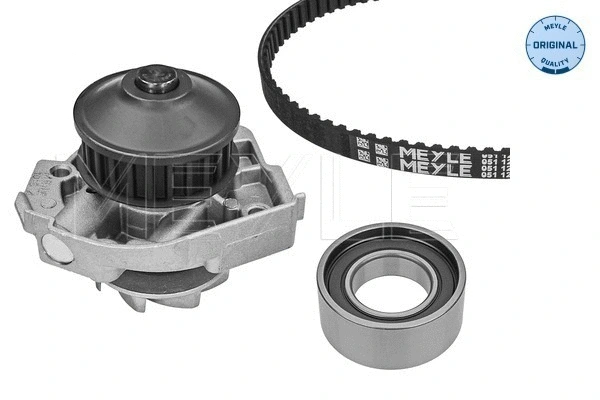 Water Pump & Timing Belt Kit (251 049 9000)