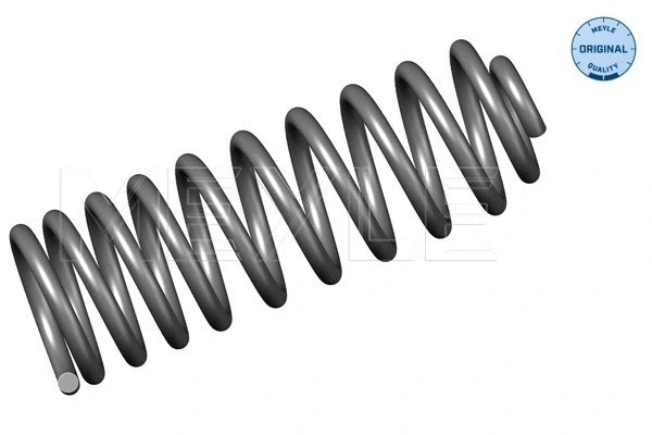 Suspension Spring (100 739 0023)