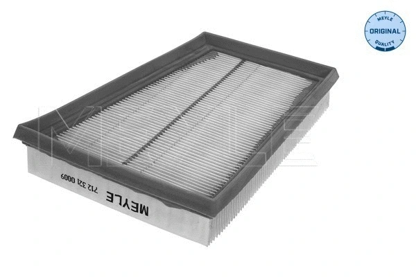 Air Filter (712 321 0009)