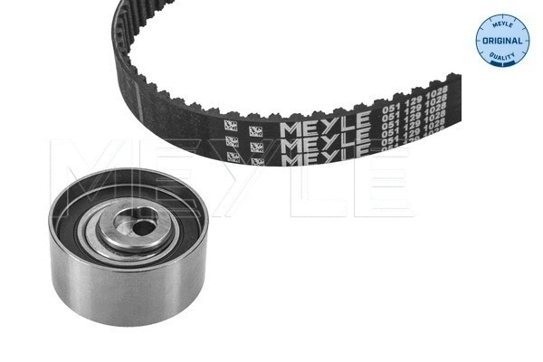 Timing Belt Kit (251 049 0045)